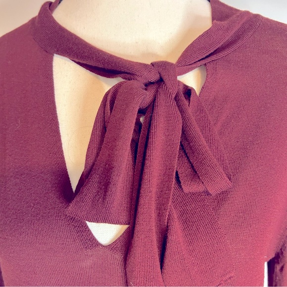 Ultra Soft H&M  Long Sleeve Tie Neck Plum Women's Sweater Medium - Picture 2 of 6